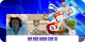 Mơ rắn đánh con gì