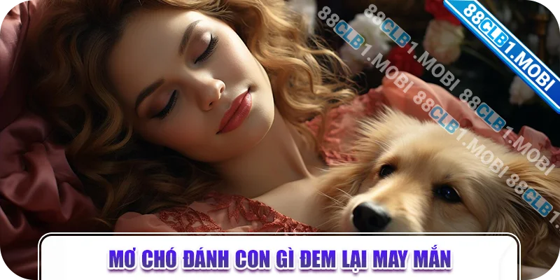 Mơ chó đánh con gì đem lại may mắn