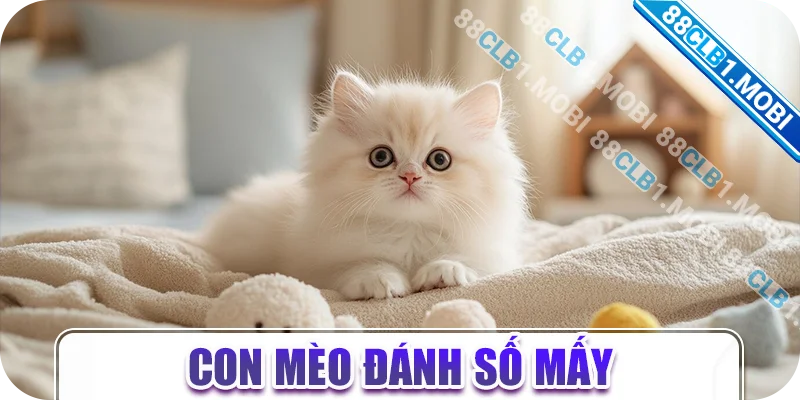 con mèo đánh số mấy