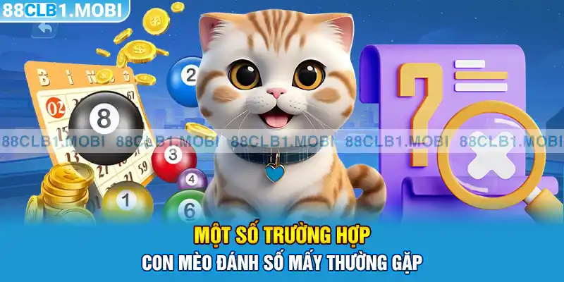 Một số trường hợp con mèo đánh số mấy thường gặp