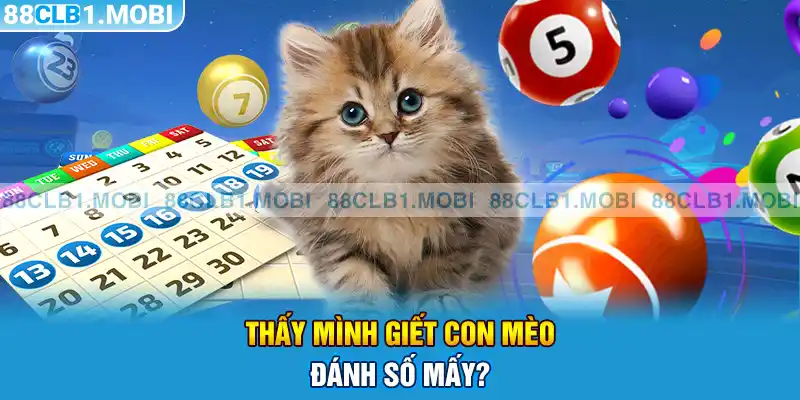 Thấy mình giết con mèo đánh số mấy?